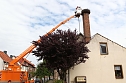 Jungst&ouml;rche werden beringt (Foto: nnz)