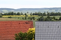 Jungst&ouml;rche werden beringt (Foto: nnz)