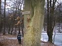 Am Ententeich im Kyffh&auml;userwald (Foto: Forstamt Oldisleben)