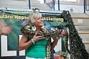 Welt der Reptilien in der Wiedingsburghalle (Foto: nnz-City Scout: Sven Gämkow) Welt der Reptilien in der Wiedingsburghalle (Foto: nnz-City Scout: Sven Gämkow)