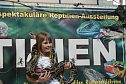 Welt der Reptilien in der Wiedingsburghalle (Foto: nnz-City Scout: Sven Gämkow) Welt der Reptilien in der Wiedingsburghalle (Foto: nnz-City Scout: Sven Gämkow)