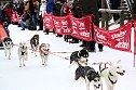 Schlittenhunderennen in Hasselfelde (Foto: Peter Blei)