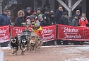 Schlittenhunderennen in Pullmann City II (Foto: Peter Blei)