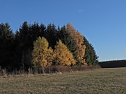 Herbst im Harz (Foto: Peter Blei)