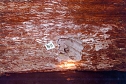 Bilder Seismik (Foto: Hans-J&uuml;rgen Schmidt)