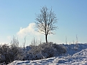 Winterliche Harzimpressionen (Foto: P.Blei)