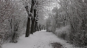 Winter unterm Kyffhäuser (Foto: U.Reinboth) Winter unterm Kyffhäuser (Foto: U.Reinboth)