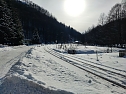 Im Brandesbachtal (Foto: P.Blei)