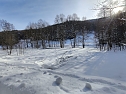 Im Brandesbachtal (Foto: P.Blei)