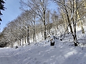 Im Brandesbachtal (Foto: P.Blei)