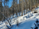 Im Brandesbachtal (Foto: P.Blei)