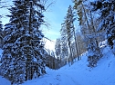 Im Brandesbachtal (Foto: P.Blei)