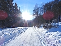 Im Brandesbachtal (Foto: P.Blei)