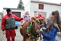Adventsausflug mit dem Ochsen Tabaluga (Foto: S.Dietzel) Adventsausflug mit dem Ochsen Tabaluga (Foto: S.Dietzel)