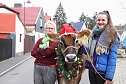 Adventsausflug mit dem Ochsen Tabaluga (Foto: S.Dietzel) Adventsausflug mit dem Ochsen Tabaluga (Foto: S.Dietzel)