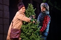 Musical-Revue im Nordh&auml;user Theater: "A New York Christmas" (Foto: Theater Nordhausen/Marco Kneise)