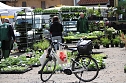 Zum zweiten Mal in diesem Jahr hatte die Gemeinde Kelbra zum Bauernmarkt eingeladen. (Foto: Ulrich Reinboth)