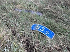 Unfall auf der A 38 (Foto: S.Dietzel)