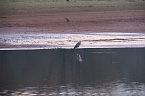 Besuch am Stausee (Foto: P.Blei)