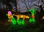 Magische Lichterwelten in Halle (Foto: P.Blei)