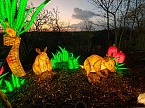 Magische Lichterwelten in Halle (Foto: P.Blei)
