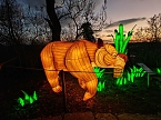 Magische Lichterwelten in Halle (Foto: P.Blei)
