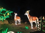 Magische Lichterwelten in Halle (Foto: P.Blei)