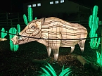 Magische Lichterwelten in Halle (Foto: P.Blei)