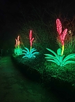 Magische Lichterwelten in Halle (Foto: P.Blei)