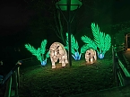 Magische Lichterwelten in Halle (Foto: P.Blei)