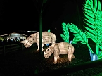 Magische Lichterwelten in Halle (Foto: P.Blei)