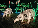 Magische Lichterwelten in Halle (Foto: P.Blei)