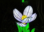 Magische Lichterwelten in Halle (Foto: P.Blei)