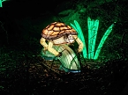 Magische Lichterwelten in Halle (Foto: P.Blei)