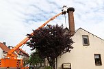 Jungst&ouml;rche werden beringt (Foto: nnz)