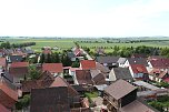 Jungst&ouml;rche werden beringt (Foto: nnz)