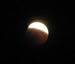 Und weg.... (Foto: Hankel)