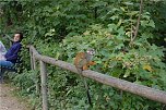 Affenwald Erlebnispark Strau&szlig;berg (Foto: Sven G&auml;mkow)