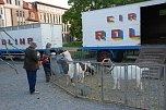 Circus Rolina gastiert in Nordhausen  (Foto: nnz-City Scout: Sven G&auml;mkow)