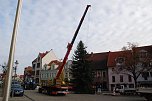 Dank breiter Gurte konnte der Baum vom Kran ohne Beschädigungen aufgerichtet werden. Noch muss er aber mehrmals auf und nieder gehoben werden, um ihn optimal in die Führung gleiten lassen zu können. (Foto: Jochen Miche) Dank breiter Gurte konnte der Baum vom Kran ohne Beschädigungen aufgerichtet werden. Noch muss er aber mehrmals auf und nieder gehoben werden, um ihn optimal in die Führung gleiten lassen zu können. (Foto: Jochen Miche)