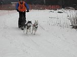 Schlittenhunderennen 2016 in Benneckenstein (Foto: Peter Blei) Schlittenhunderennen 2016 in Benneckenstein (Foto: Peter Blei)