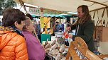 Bauernmarkt in Braunsroda (Foto: nnz)