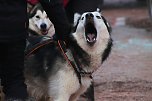 Schlittenhunderennen in Pullmann City II (Foto: Peter Blei)