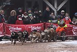 Schlittenhunderennen in Pullmann City II (Foto: Peter Blei)