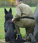 F&uuml;r tauglich befunden (Foto: PD NDH)