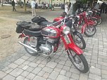 Trotz der wochenlangen Hitze kamen zum diesj&auml;hrigen Treffen &uuml;ber 100 Besitzer eines Mopeds, Motorrollers, Motorrades oder Dreirades der tschechischen Marken Jawa oder CZ auf das Gel&auml;nde der Festscheune in R&ouml;blingen am See (Sachsen-Anhalt) (Foto: H. Rein)