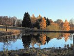 Herbst im Harz (Foto: Peter Blei)