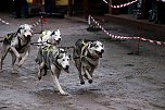 Hundeschlittenrennen in Pullman City (Foto: Peter Blei)