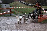 Hundeschlittenrennen in Pullman City (Foto: Peter Blei)