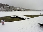 Ausflug nach Stiege (Foto: Peter Blei)